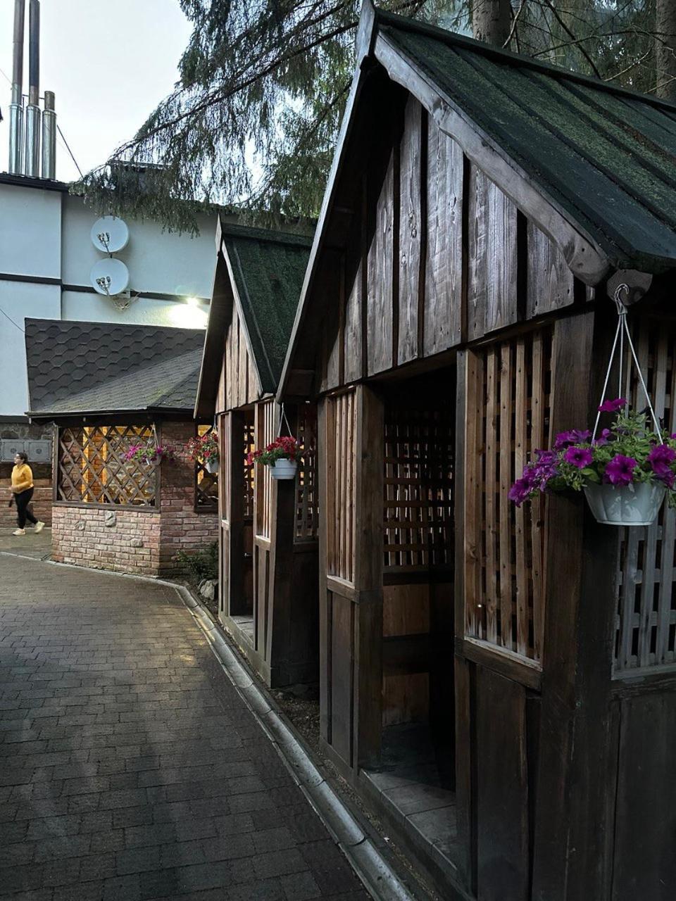 Alpiyskiy Yablunytsya Exterior foto